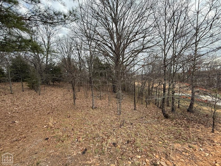 One of the last opportunities to secure a homesite in this - photo 5