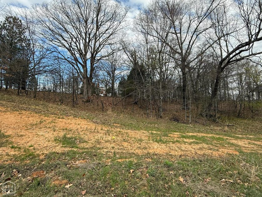 One of the last opportunities to secure a homesite in this - photo 6