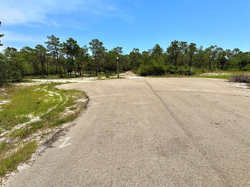 HOMESITE LOADING?.. 1-acre homesite available in Magnolia Ridge - photo 3