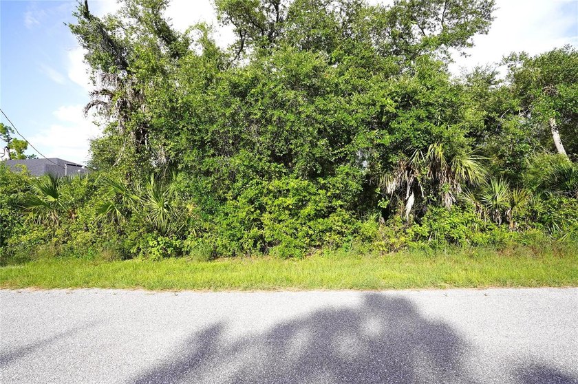 RMF10 - Multi Family 10 Units / Acre-Rmf 10, opportunity. Yes - photo 4