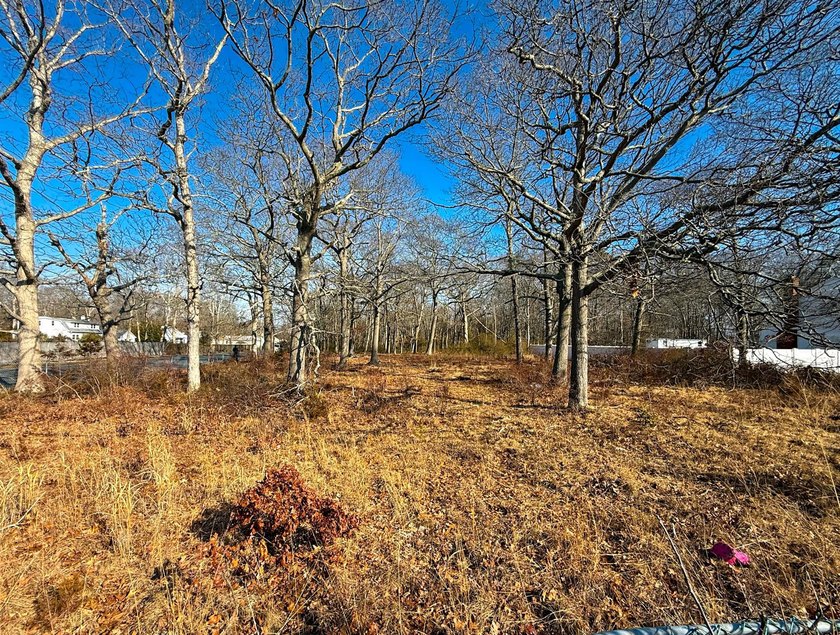 Discover Your Dream Home Site Near Fire Island National Seashore - photo 3