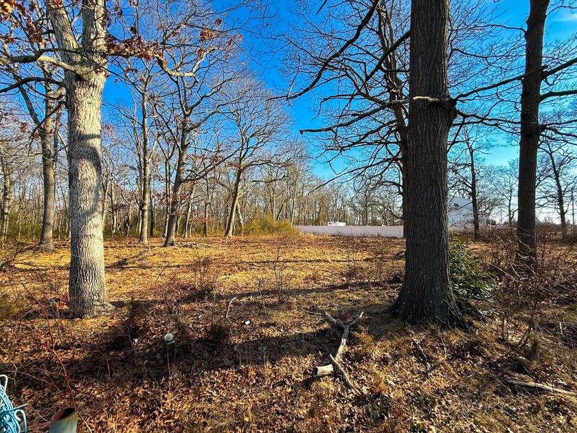 Discover Your Dream Home Site Near Fire Island National Seashore - photo 5