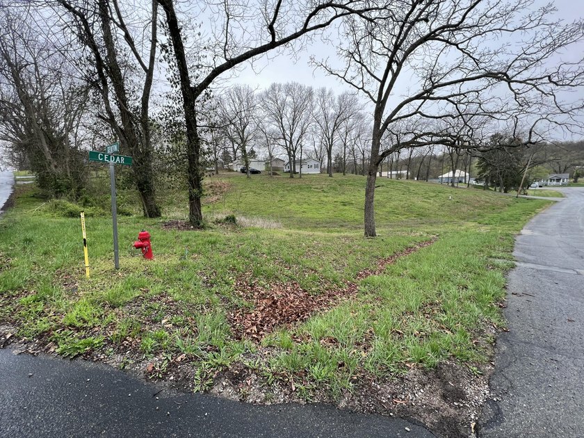 Build your dream home on this beautiful 0.52-acre lot in Warsaw - photo 2