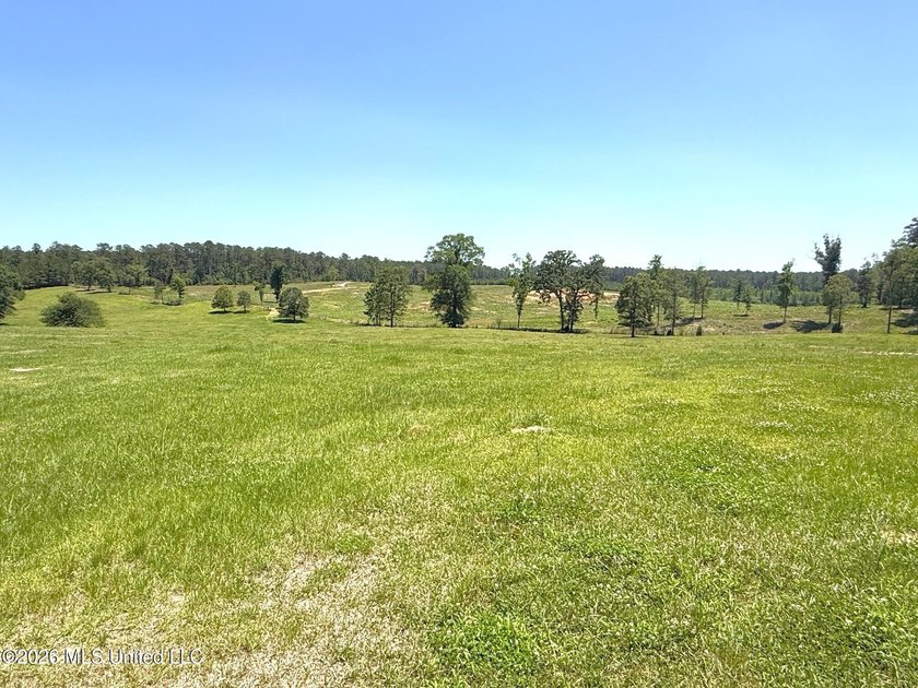 116 acres of land for sale in North Pike School District - photo 3