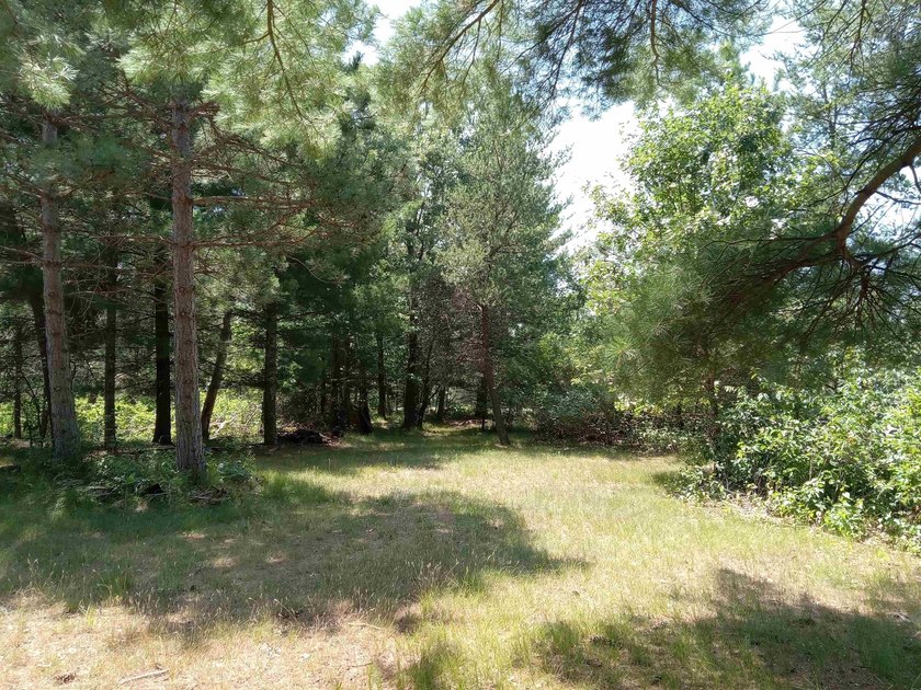 Lake Arrowhead Perpetual Camping or Homebuilding spot! Nestled - photo 3