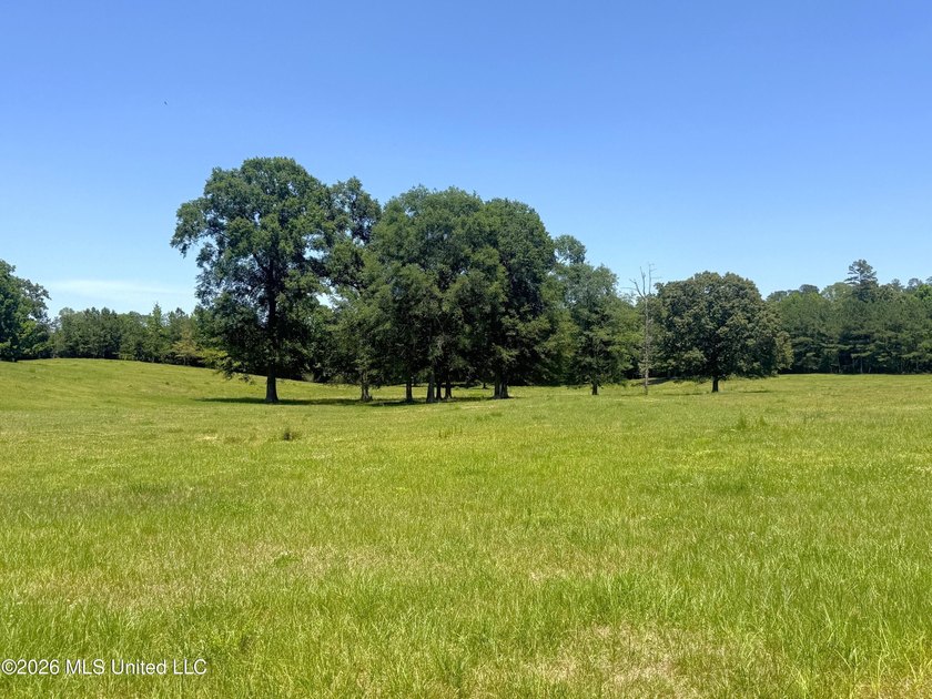 116 acres of land for sale in North Pike School District - photo 6