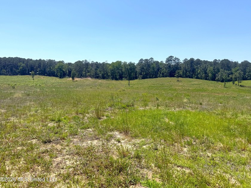 116 acres of land for sale in North Pike School District - photo 8