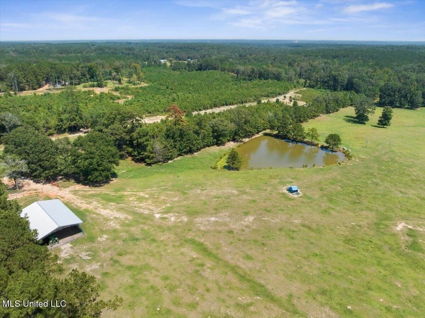 116 acres of land for sale in North Pike School District - photo 9