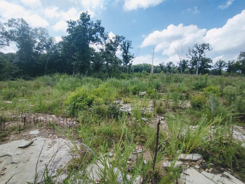 Great 5 Acres M/L to build you dream home, cabin or getaway with - photo 2