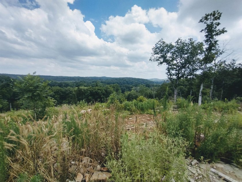 Great 5 Acres M/L to build you dream home, cabin or getaway with - photo 3