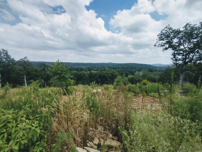 Great 5 Acres M/L to build you dream home, cabin or getaway with - photo 4