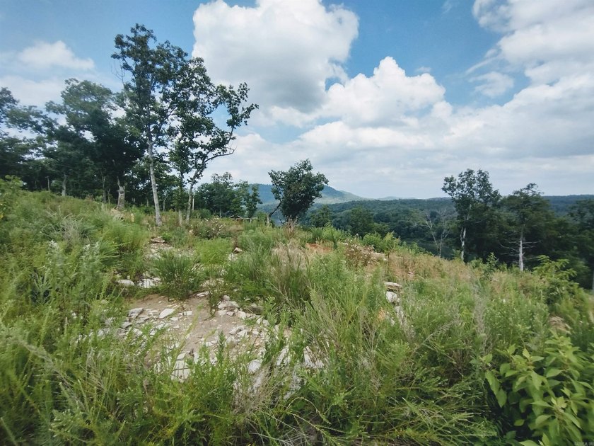 Great 5 Acres M/L to build you dream home, cabin or getaway with - photo 5
