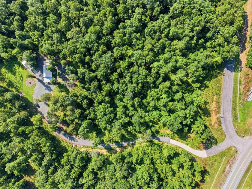 Such an adorable retreat sitting on 12.60 acres +/- with 3 Cozy - photo 10