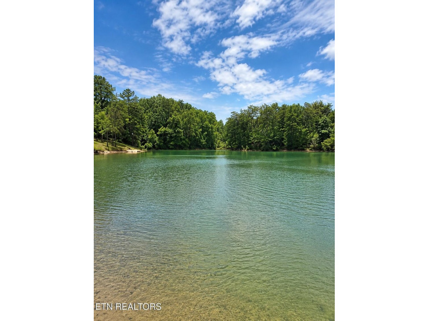 Rare lakefront log cabin on the Sevier County side of Douglas - photo 14