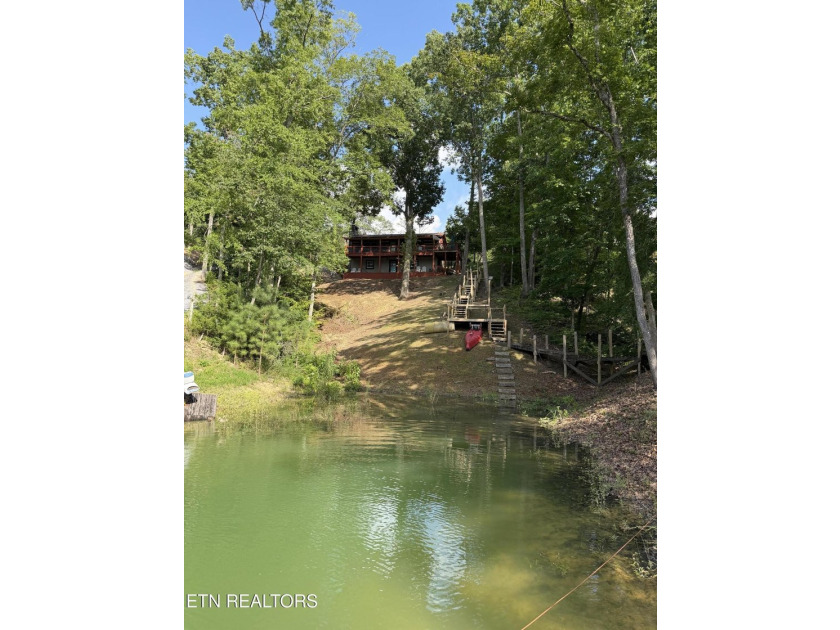 Rare lakefront log cabin on the Sevier County side of Douglas - photo 15