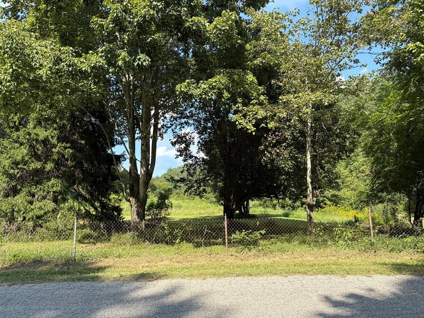 if you are looking for a beautiful, private mini farm to build - photo 3