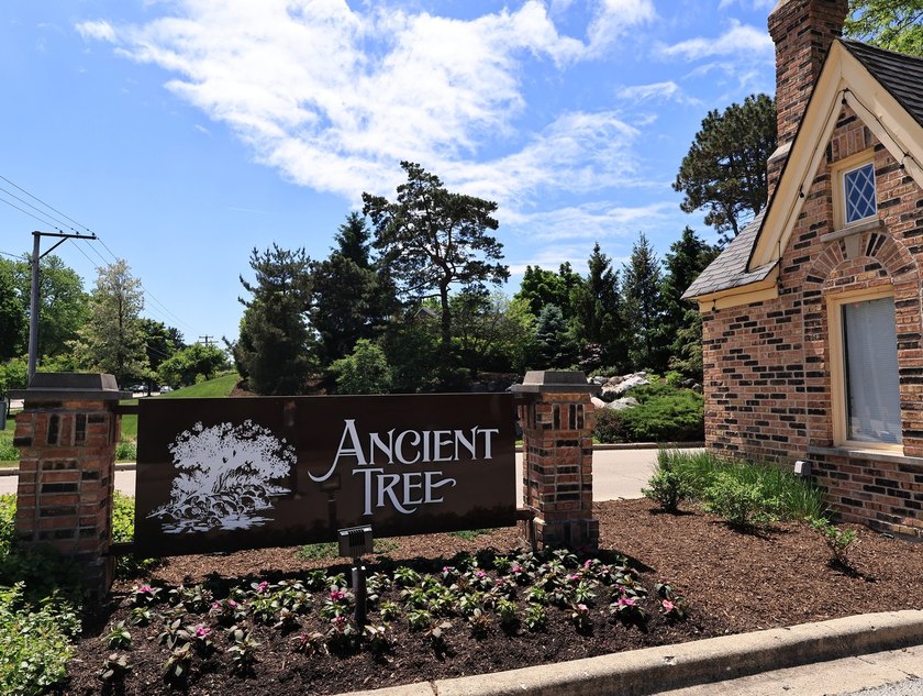 Welcome to the perfect 2-story townhome in Ancient Tree - photo 36