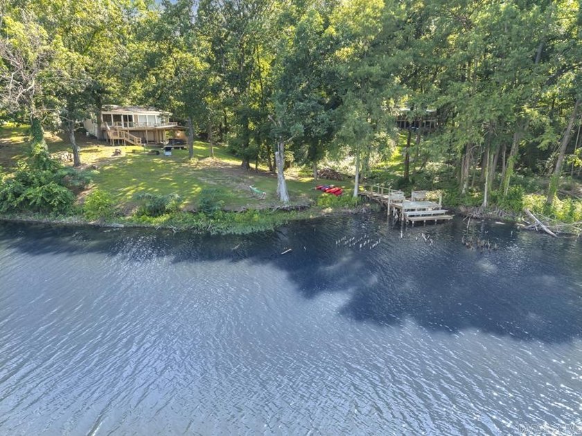 Enjoy lakefront living at its finest on beautiful Harris Brake - photo 3