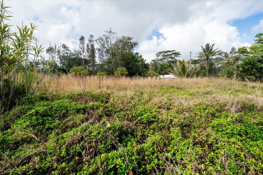 If you're looking for a property with previous improvements - photo 4