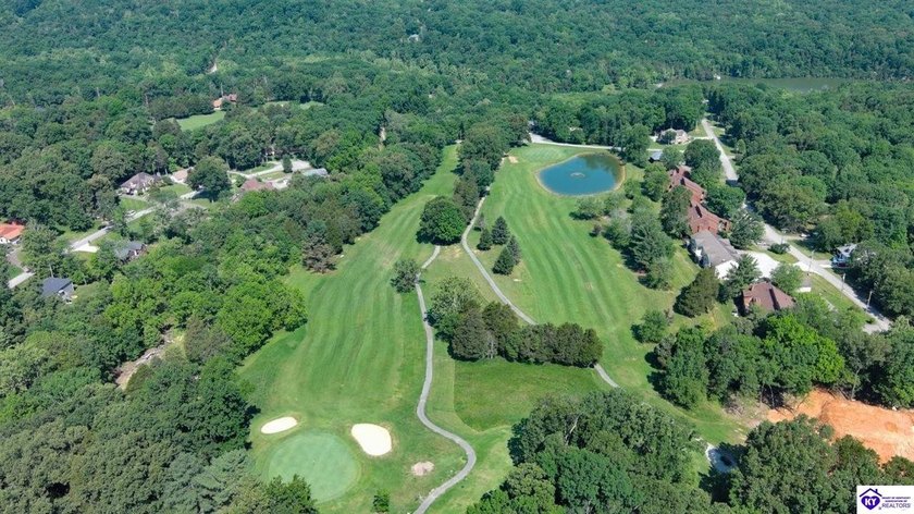 Build your dream home on this beautiful lot on Doe Valley Lake! - photo 15