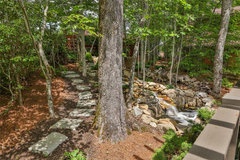 Located in the desirable heart of Sapphire Valley, this - photo 39