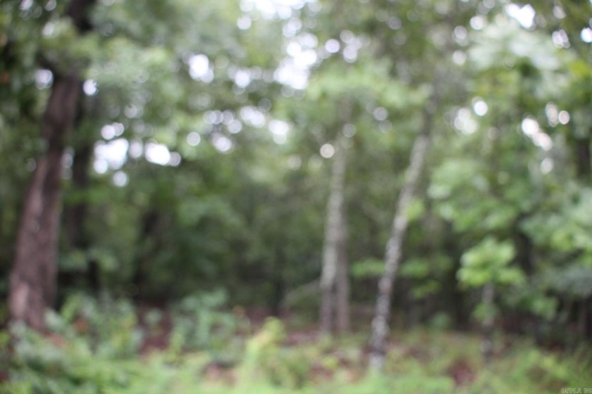 20.55 acres lying along a well- maintained county road with few - photo 7