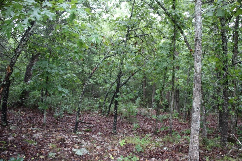 20.55 acres lying along a well- maintained county road with few - photo 9