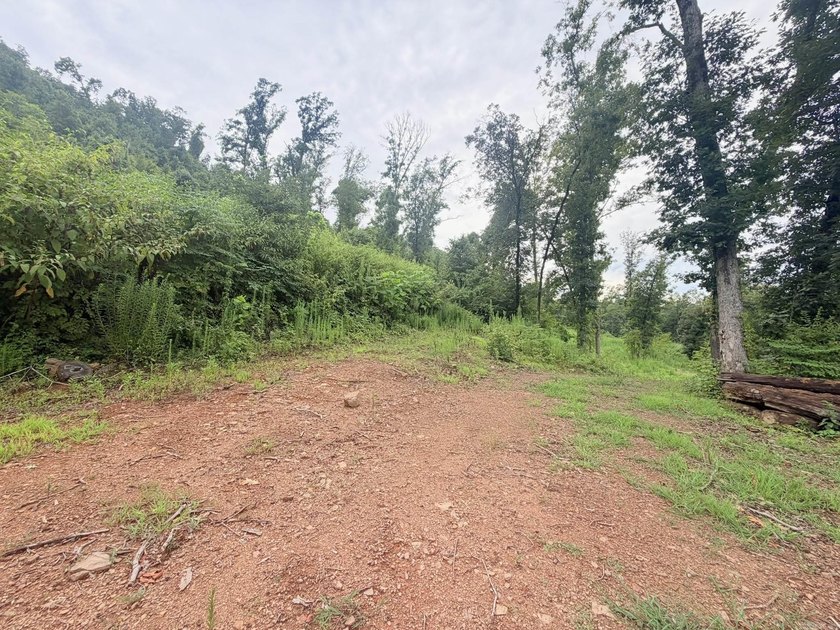 12.26 beautiful acres with endless possibilities! Nestled on a - photo 3