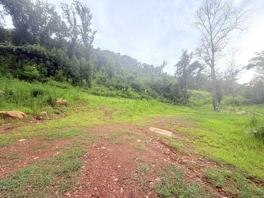 12.26 beautiful acres with endless possibilities! Nestled on a - photo 4