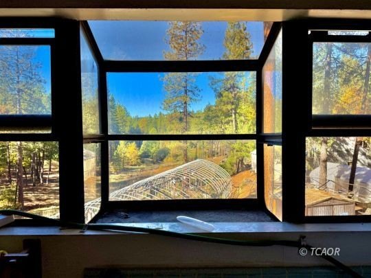 Two adjacent 1.5+ acre lots each with garden sites and solid - photo 17