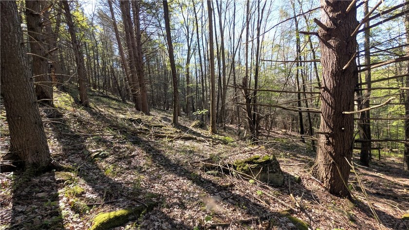 Just south of the Pepacton Reservoir on the scenic south side of - photo 29