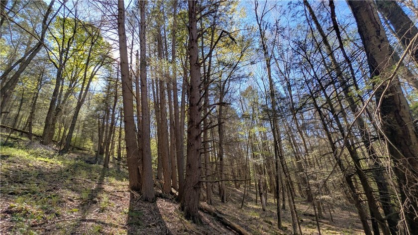 Just south of the Pepacton Reservoir on the scenic south side of - photo 30