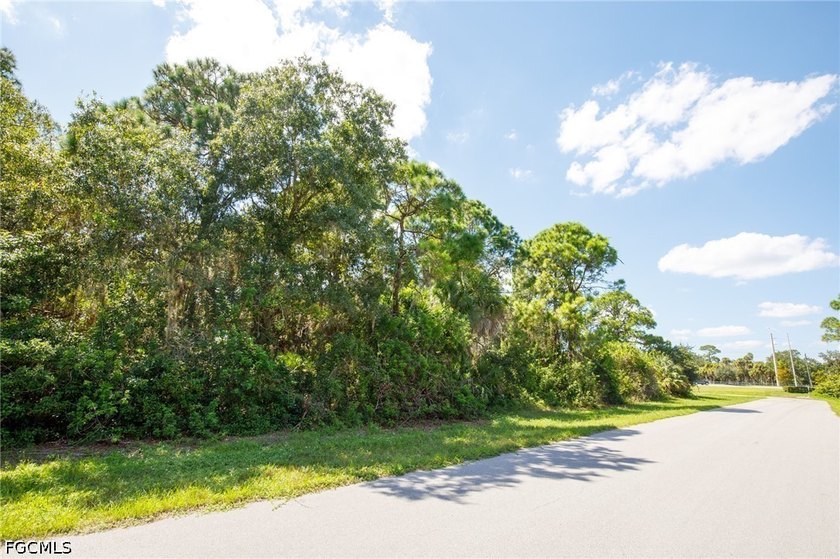 Great residential lot in the up and coming, deed restricted - photo 5