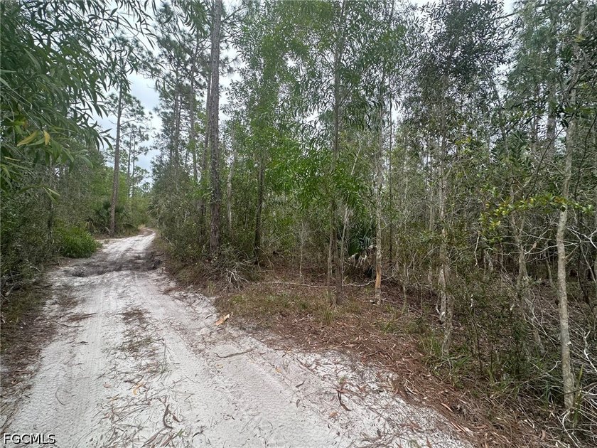 Great 0.36 acre private lot now available! Ask for detail about - photo 3