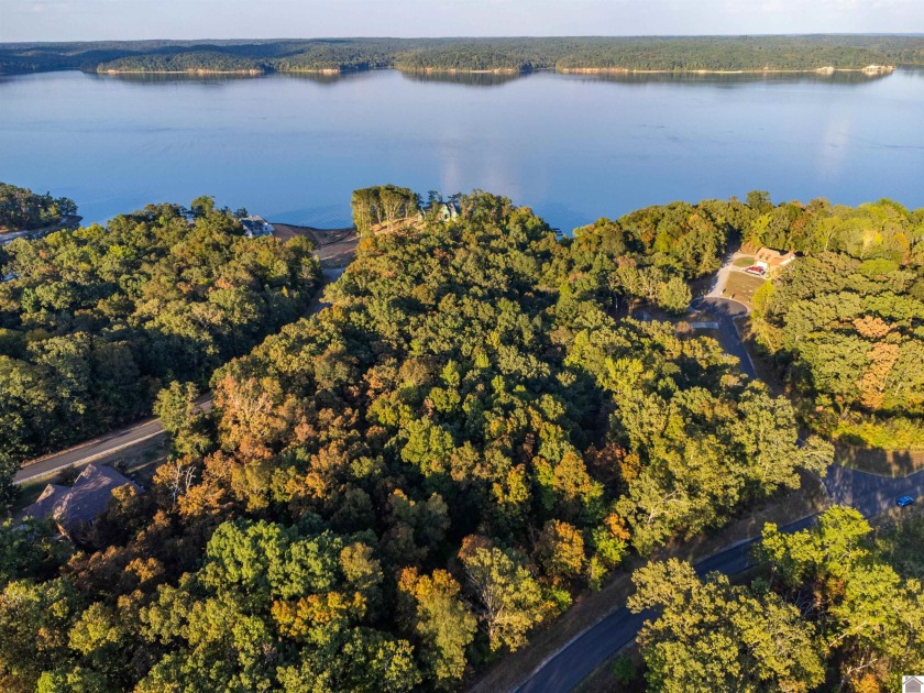 Build the home of your dreams in the beautiful subdivision of - photo 3