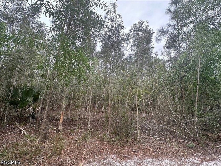 Great 0.36 acre private lot now available! Ask for detail about - photo 4
