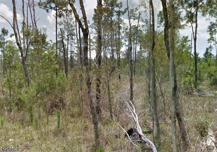 Great 0.36 acre private lot now available! Ask for detail about - photo 5
