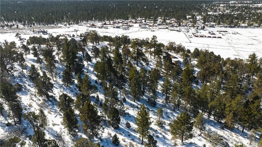 Listing Photo - 8
