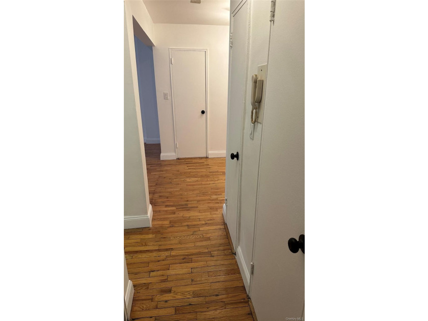 Immediately Available - Spacious Junior 4 Co-op Apartment for - photo 14