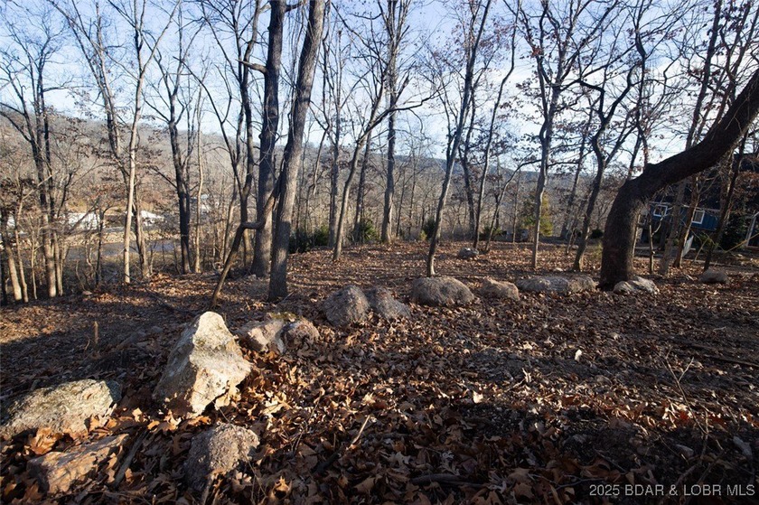 A great lot with a lake view on a cul-de-sac and all of the - photo 12