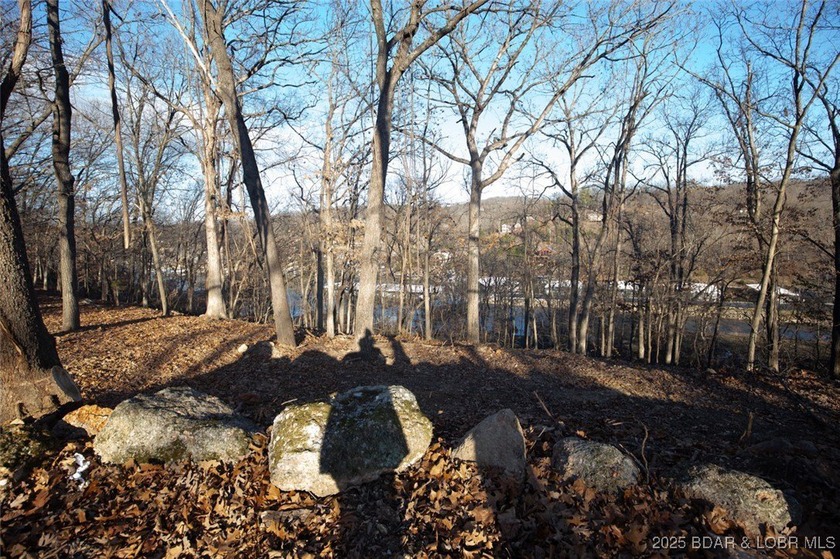 A great lot with a lake view on a cul-de-sac and all of the - photo 13