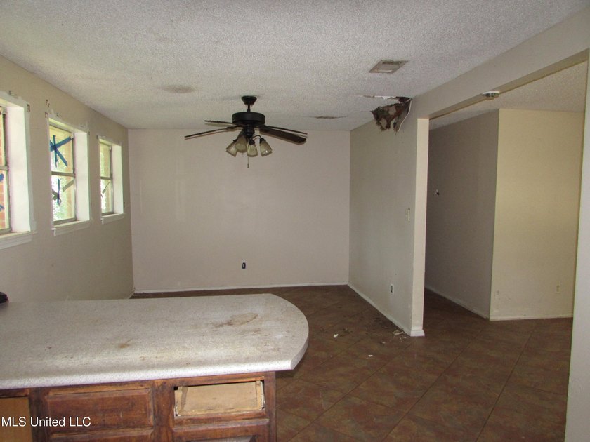 Large 4bdrm 2.5 bath home with newer roof. It is a fixer home - photo 8