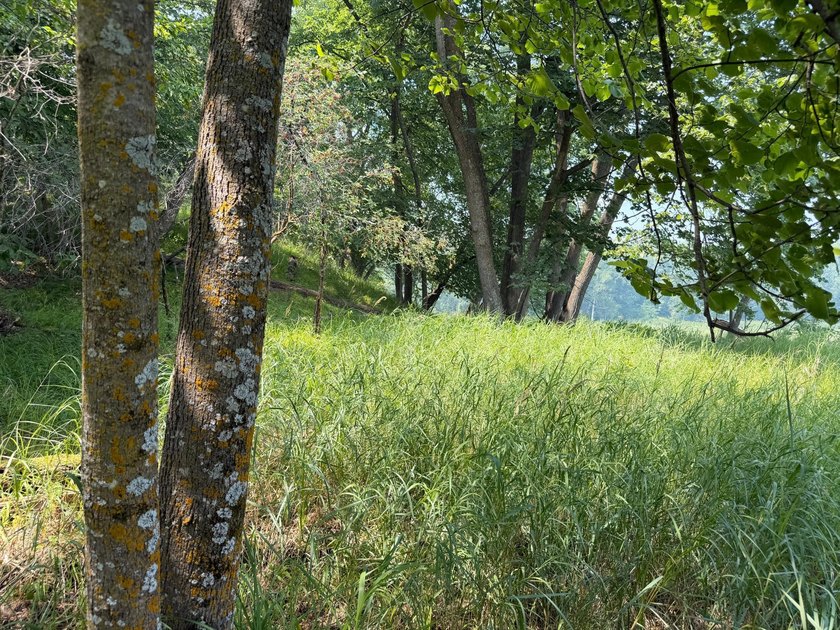 Privacy and lake views await you on this beautiful 1+ acre - photo 11