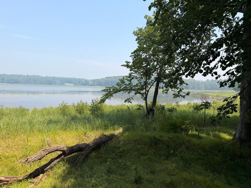 Privacy and lake views await you on this beautiful 1+ acre - photo 12