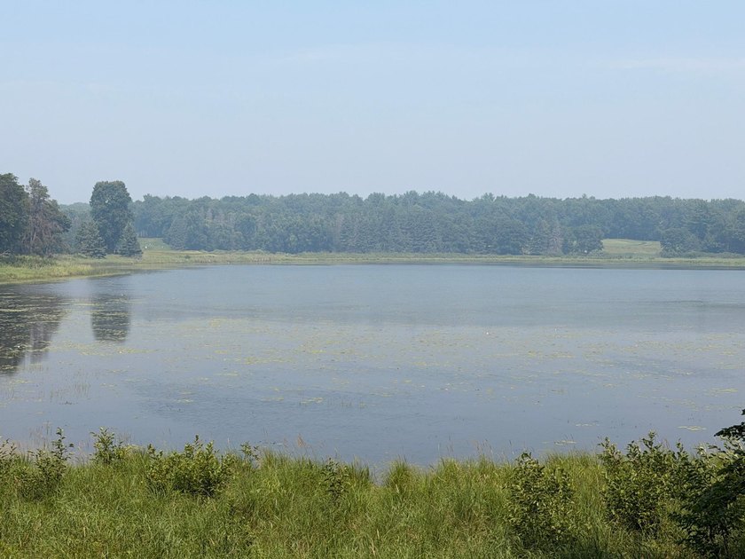 Privacy and lake views await you on this beautiful 1+ acre - photo 13