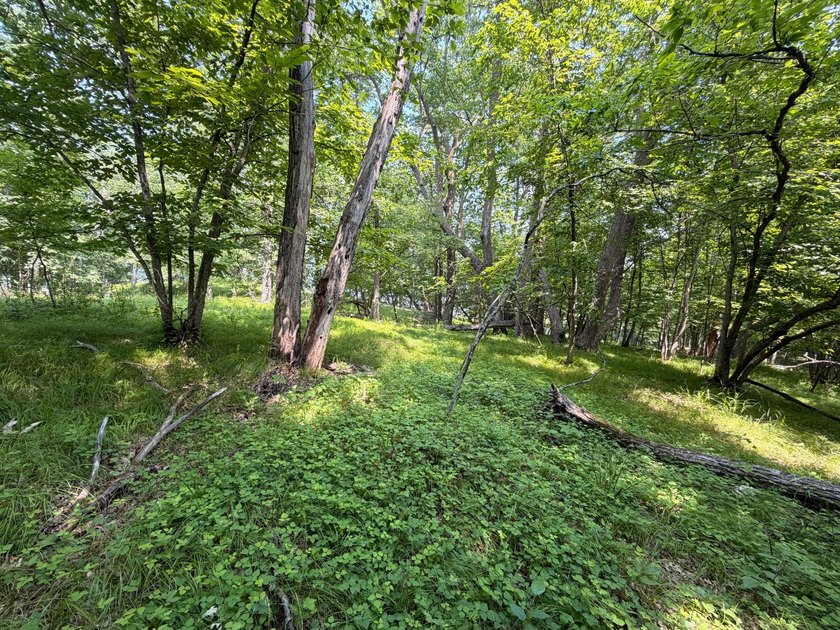 Privacy and lake views await you on this beautiful 1+ acre - photo 15