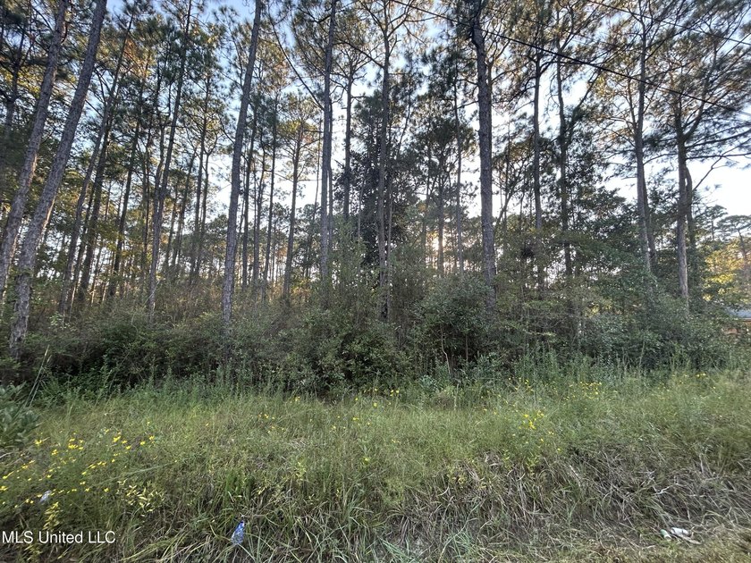 Check out this beautiful lot that is ready for your building - photo 4