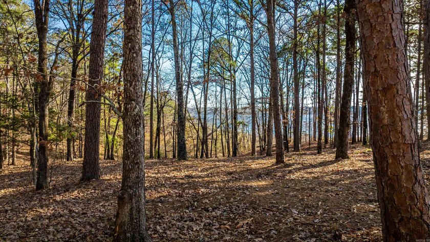 Don't miss this rare opportunity to own waterfront property on - photo 4
