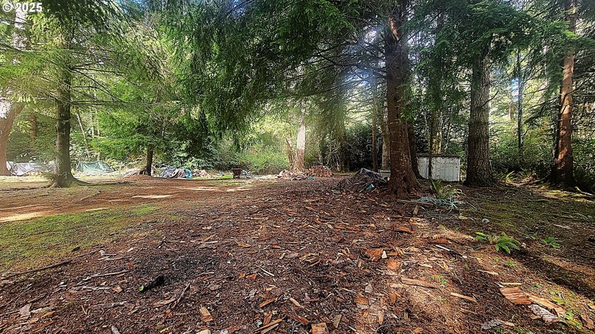 Discover the potential of this beautiful two-acre property - photo 2