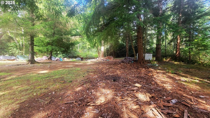 Discover the potential of this beautiful two-acre property - photo 4